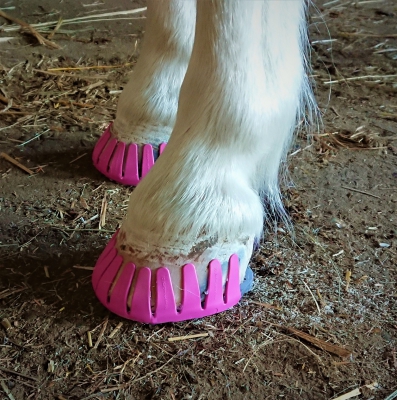 Adhesive set  "pink pony"